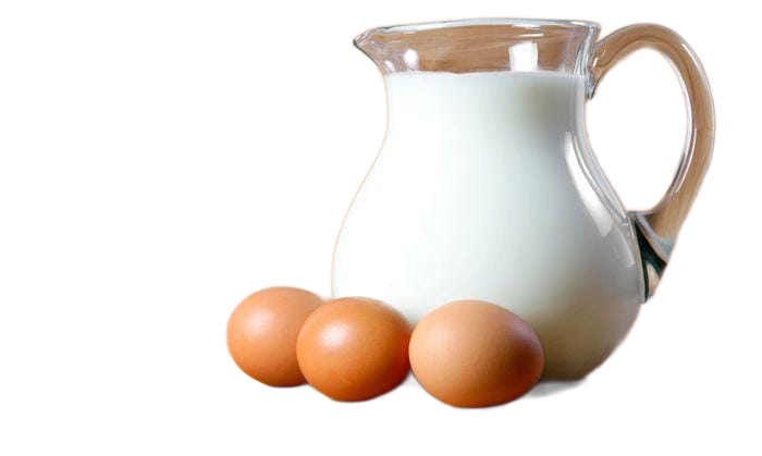 Telur & Susu